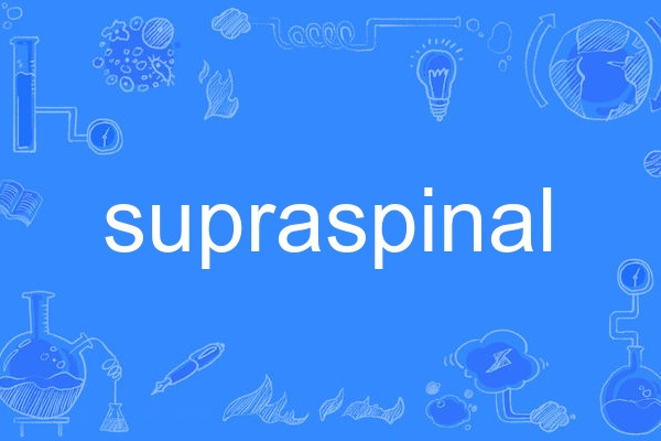 supraspinal supraspinal