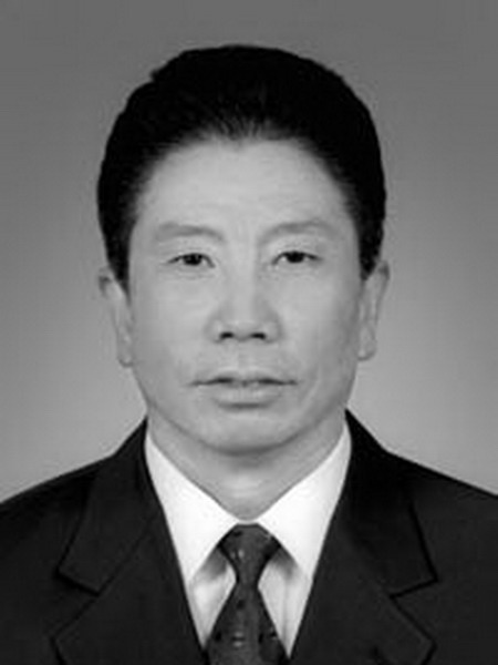 陳杰昌(原民政部副部長、黨組成員) 陳杰昌(原民政部副部長、黨組成員)