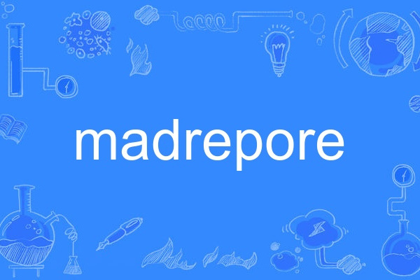 madrepore madrepore