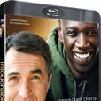 The Intouchables The Intouchables