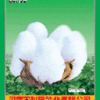 農科抗8號 農科抗8號