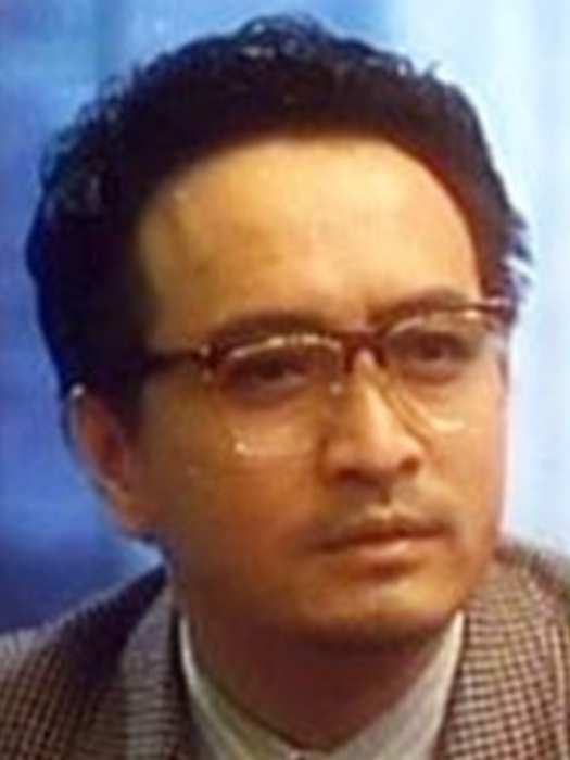 丁輝(《原振俠》電視劇中的角色) 丁輝(《原振俠》電視劇中的角色)