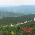 雷溝村(甘肅靜寧縣治平鎮管轄村) 雷溝村(甘肅靜寧縣治平鎮管轄村)