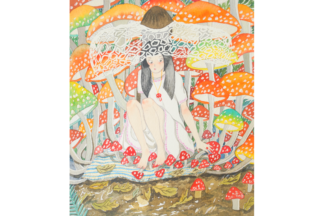 蘑菇派對 蘑菇派對