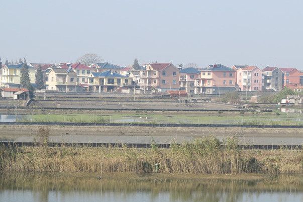 茅家圩
