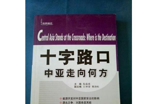 十字路口(2007年時事出版社出版的圖書) 十字路口(2007年時事出版社出版的圖書)
