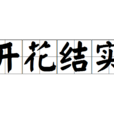 開花結實 開花結實