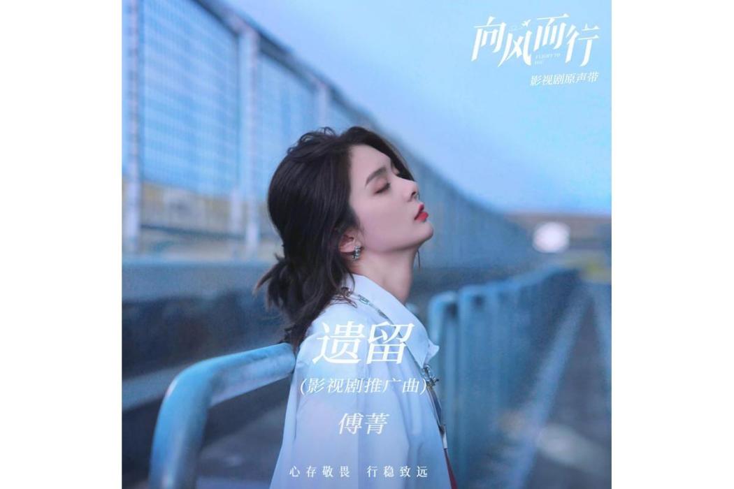 遺留(傅菁演唱的歌曲) 遺留(傅菁演唱的歌曲)