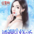 透視小醫聖 透視小醫聖