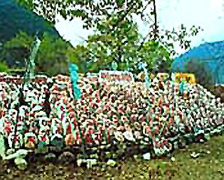 烈山墓地 烈山墓地