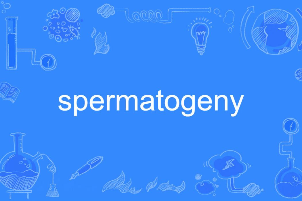 spermatogeny