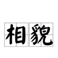 相貌 相貌