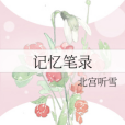 記憶筆錄 記憶筆錄