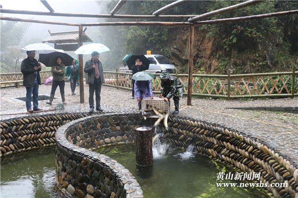 魚泉口村 魚泉口村
