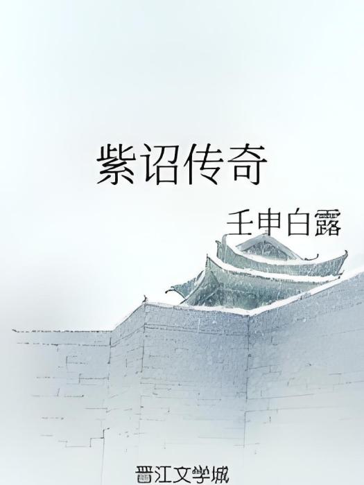 紫詔傳奇 紫詔傳奇