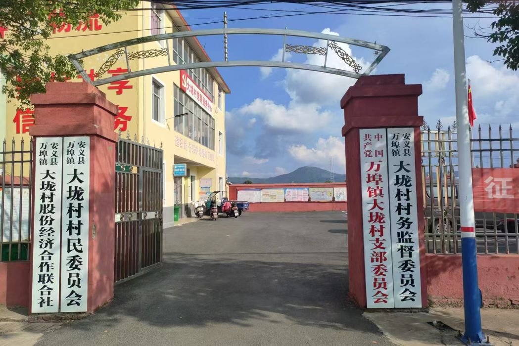 大壠村(江西省南昌市安義縣萬埠鎮下轄村) 大壠村(江西省南昌市安義縣萬埠鎮下轄村)
