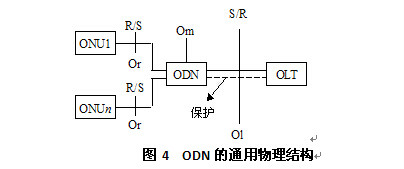 圖4  ODN的通用物理結構