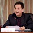 王若鵬(寶雞市文物局局長) 王若鵬(寶雞市文物局局長)