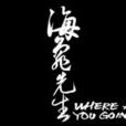 海龜先生(專輯名稱) 海龜先生(專輯名稱)