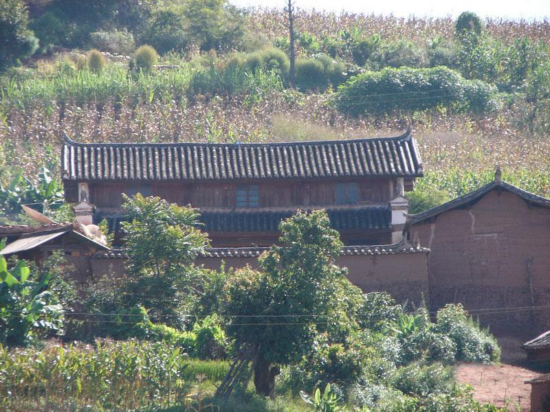 半坡田村(雲南雙柏縣妥甸鎮下轄村) 半坡田村(雲南雙柏縣妥甸鎮下轄村)