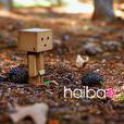 小盒子Danbo 小盒子Danbo