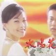 太陽花(1998年張庭主演台灣中視電視劇)