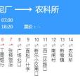張掖公交6路 張掖公交6路