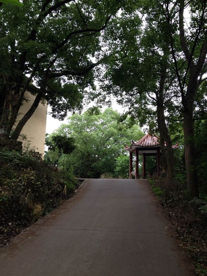 芝平山 芝平山