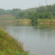 河唇村(廣東省廉江市河唇鎮下轄行政村) 河唇村(廣東省廉江市河唇鎮下轄行政村)
