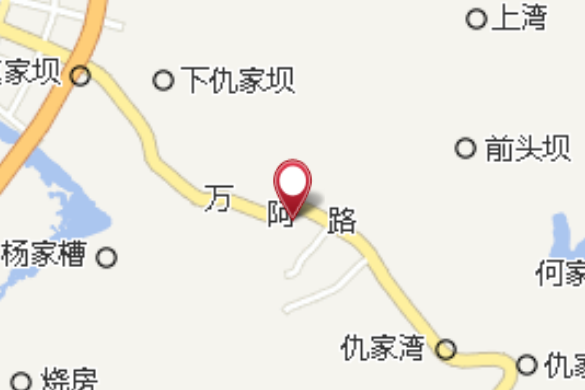 前鋒大隊 前鋒大隊