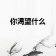 你渴望什麼 你渴望什麼