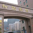 新龍家園 新龍家園