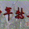 少年特工(電視劇) 少年特工(電視劇)