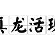 真龍活現 真龍活現