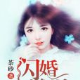 閃婚試愛(茶砂著網路小說) 閃婚試愛(茶砂著網路小說)