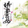 嬌妻慈母 嬌妻慈母