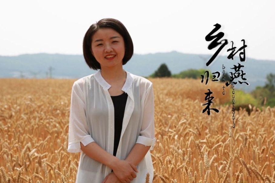 鄉村燕歸來 鄉村燕歸來