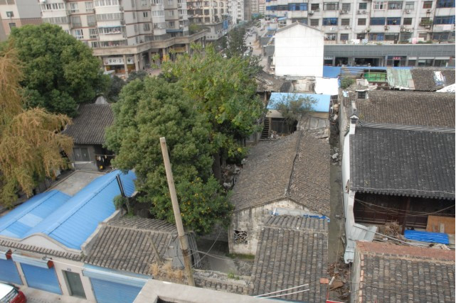 意園外園 意園外園