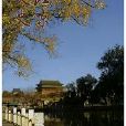 北京文史 北京文史