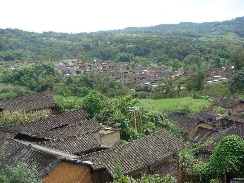 李子村(雲南省鎮雄縣羅坎鎮李子村) 李子村(雲南省鎮雄縣羅坎鎮李子村)