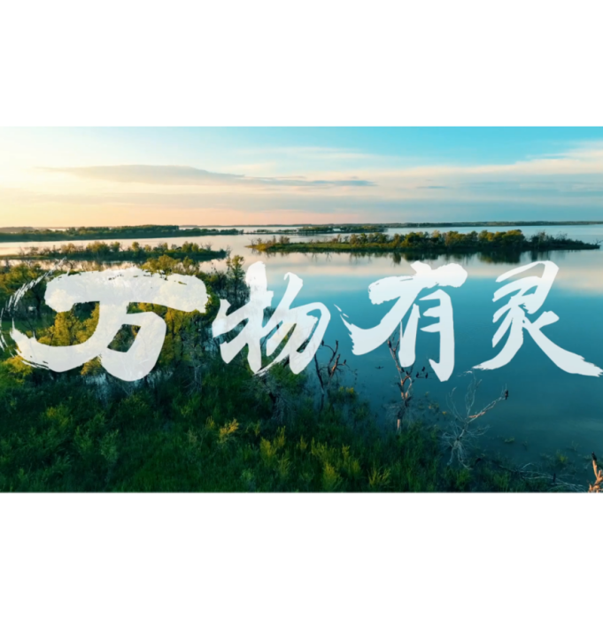 萬物有靈(白城廣播電視台製作的微電影) 萬物有靈(白城廣播電視台製作的微電影)