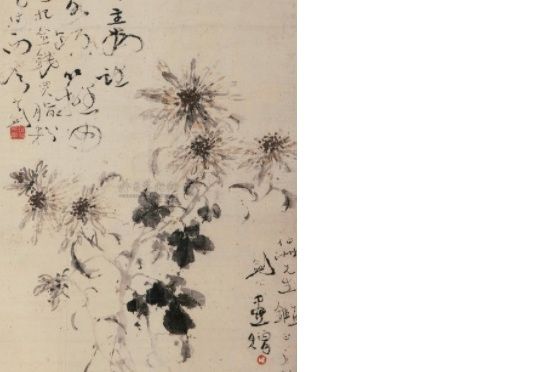 黃花五株 黃花五株