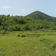 大徑村(廣東汕尾市陸河縣河田鎮大徑村) 大徑村(廣東汕尾市陸河縣河田鎮大徑村)