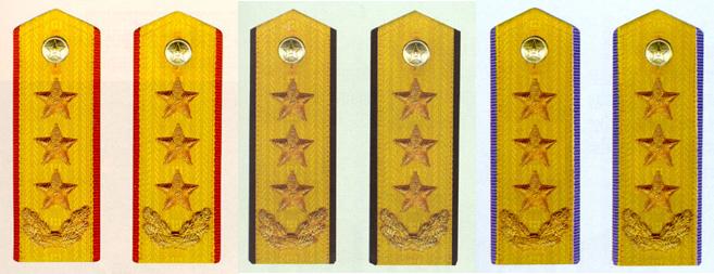 陸海空軍上將常服肩章(1988～2007)