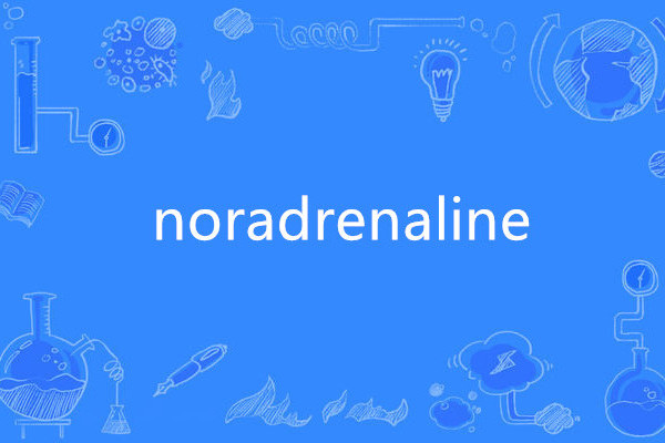 noradrenaline noradrenaline