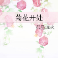 菊花開處 菊花開處
