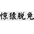 驚猿脫兔 驚猿脫兔