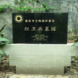 紅衛兵墓群 紅衛兵墓群