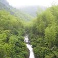 景德鎮楊灣風景區(楊灣風景區) 景德鎮楊灣風景區(楊灣風景區)