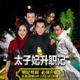 太子妃升職記(2015年張天愛、盛一倫主演網路劇)